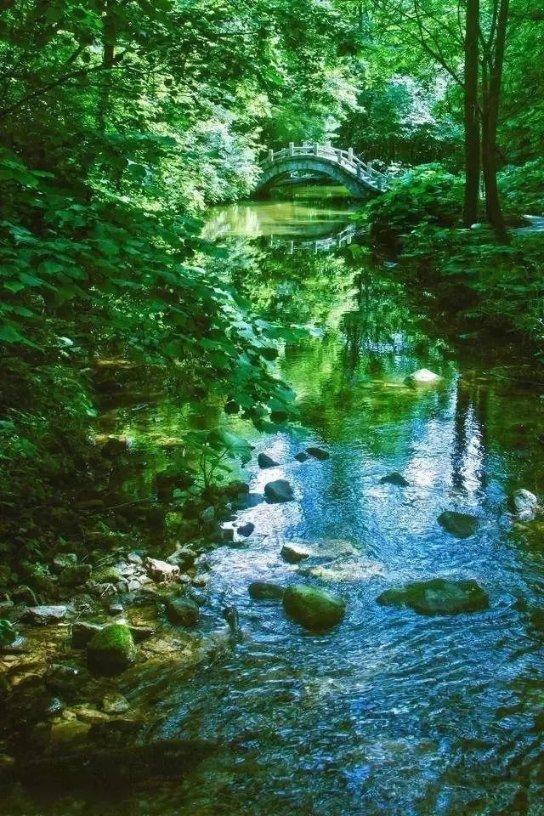 “明湖胜景”欲“重绘”！大明湖风景区划定六处景观区，有望与北湖通航
