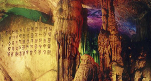 履职责担使命 促发展谱新篇