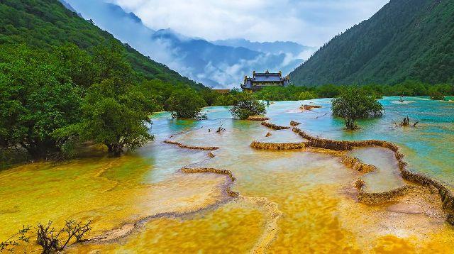 动物帮帮忙保卫家园