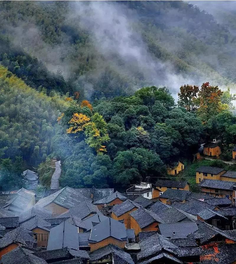 逃离危险禁地