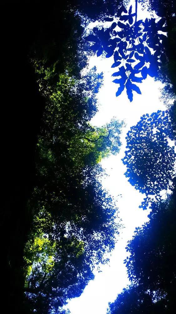 分手之后能否做好朋友?-专业的知识问答网站