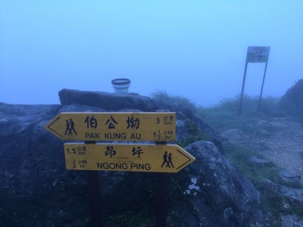 4399警戒风暴