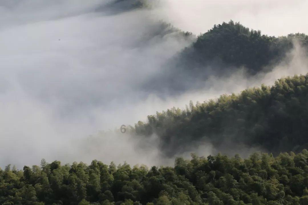 头次见卧室衣帽间这样装，太聪明了