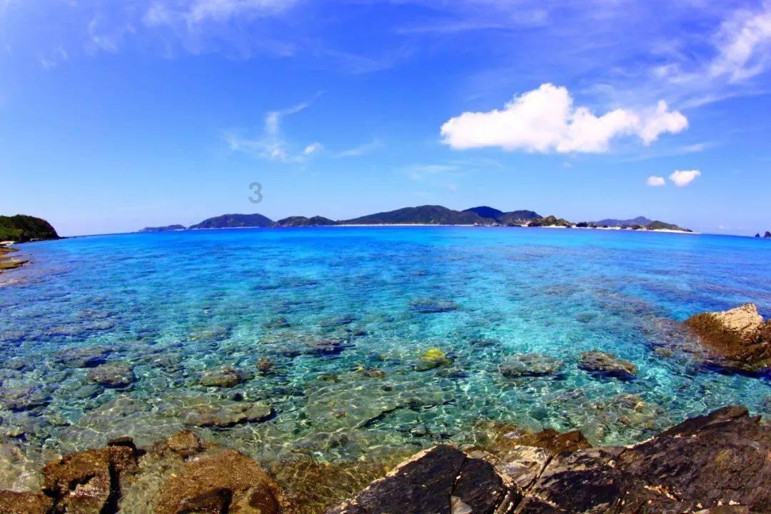 郑钦文首次杀进大满贯决赛
