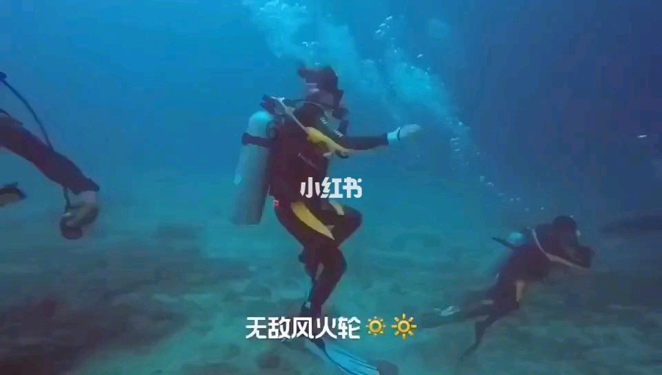 宇宙人也喜欢大熊猫？国宝曾风靡日本，奥特曼导演也赶潮流游戏画面