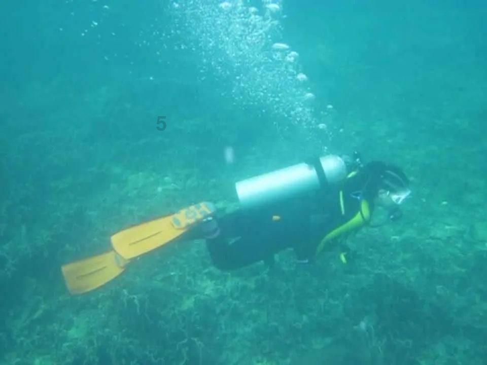 僵尸顶顶乐
