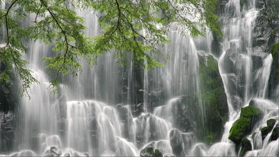 爱丽丝和闺蜜