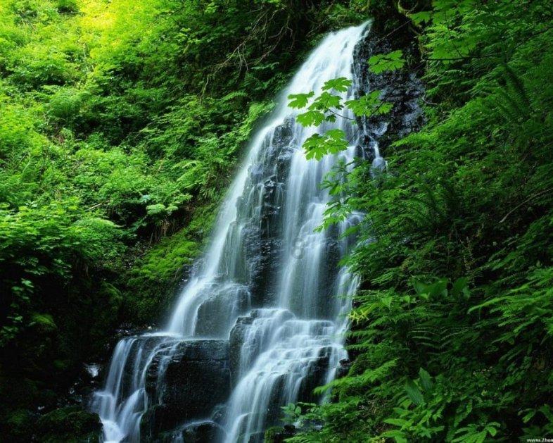 大话西游手游