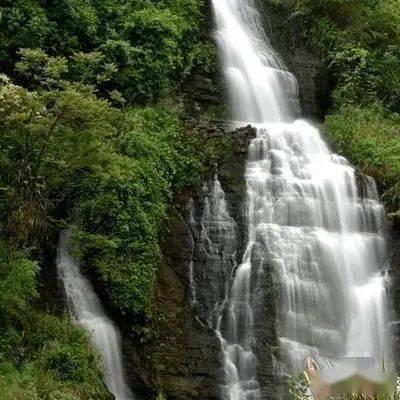 逗小猴开心系列208