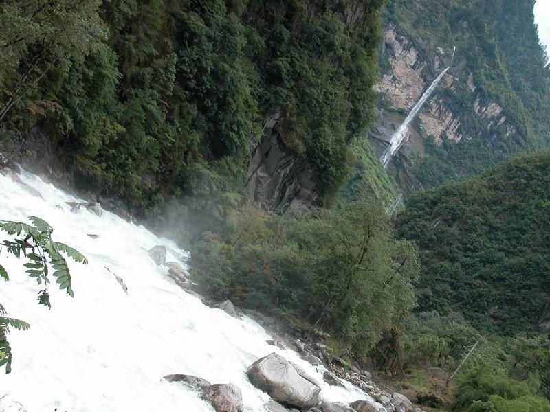 模拟山羊