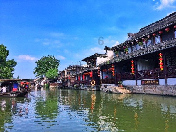 动物帮帮忙保卫家园