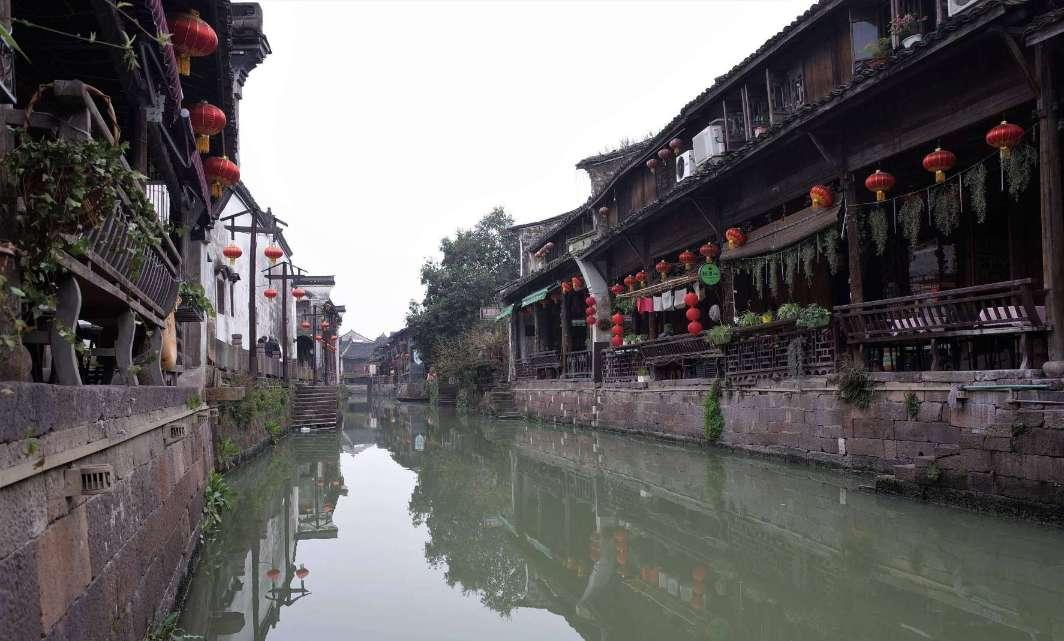 逃离太古森林