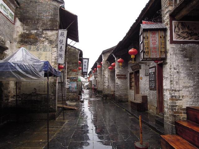 拯救小萌虎